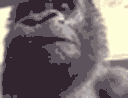 confused ape Slack emoji
