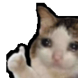 crycat shake Slack emoji