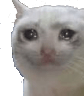 crycat Slack emoji