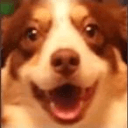 dog smile Slack emoji