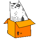 cat in a box Slack emoji