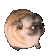 pug dance fast Slack emoji