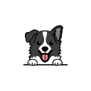 bordercollie Slack emoji