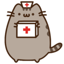 pusheen doctor Slack emoji