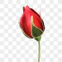 rosebud Slack emoji