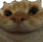 catyes Slack emoji