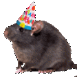 birthday rat flip Slack emoji