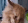 crying kitten Slack emoji