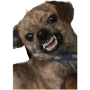 angry dog Slack emoji