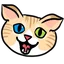 funny cat Slack emoji