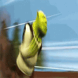 shrek running Slack emoji