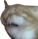 cringe cat 2 Slack emoji