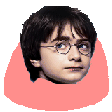 party harry Slack emoji