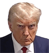trump mugshot Slack emoji