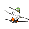 zoro duckie Slack emoji