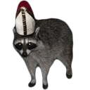 holyraccoon Slack emoji