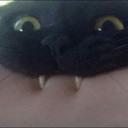 black cat peek teeth Slack emoji