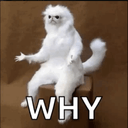 catwhy Slack emoji