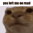 you left me on read Slack emoji
