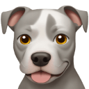 pitbull dog Slack emoji