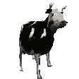 cow Slack emoji