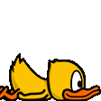 duck Slack emoji