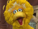 bigbird Slack emoji