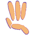 asl wtf Slack emoji