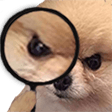 detectivedoggo Slack emoji