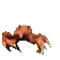 crab rave Slack emoji