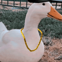 duckgangster Slack emoji