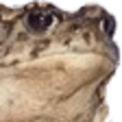 froggolook Slack emoji