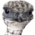 emulook Slack emoji