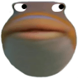 fisheyes Slack emoji