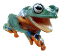 cutefroggo Slack emoji