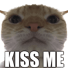 catkissme Slack emoji