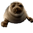 sealbop Slack emoji