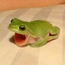 froggiescream Slack emoji