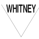 whitney Slack emoji