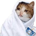 cat blanket cozyq Slack emoji