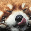 redpandalicks Slack emoji