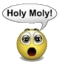 holy moly Slack emoji