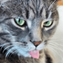 cat tongue Slack emoji