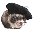 frenchfer Slack emoji