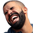 ddrake q Slack emoji