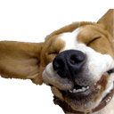 dogearsq Slack emoji