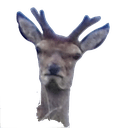 angrydeerhead Slack emoji