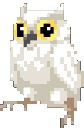 owlhead q Slack emoji