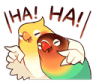 hahabird q Slack emoji