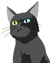 cat1 q Slack emoji